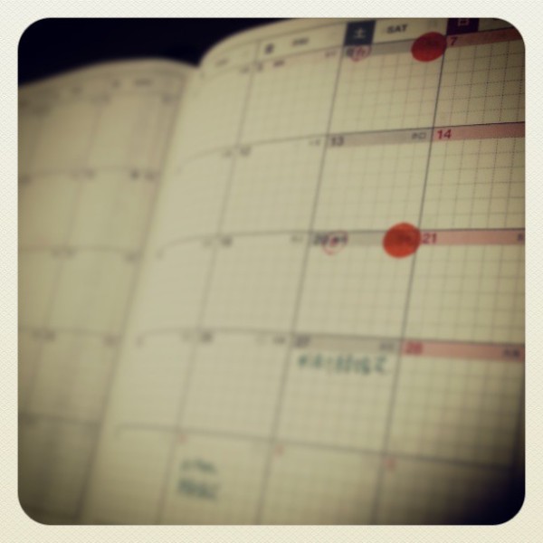 297043_512918698747506_1757303872_n-600x600